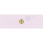 WPC Price by User Role for WooCommerce Premium